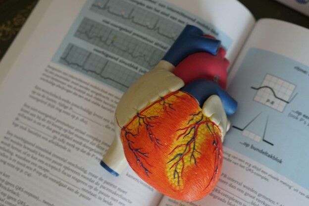 Atrial Natriuretic Peptide (ANP): Release, Functions, and More 1 Picture35