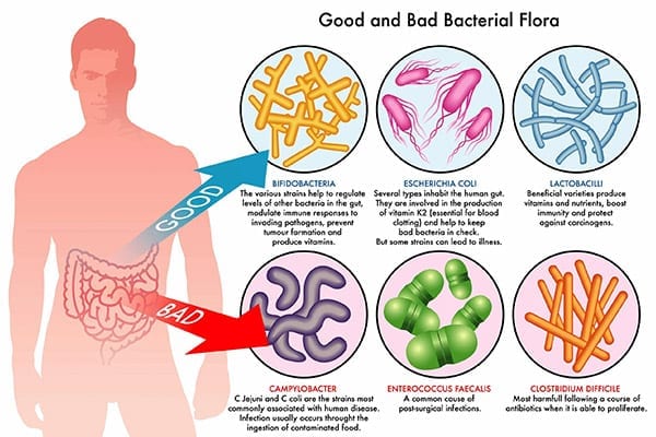 Bacterial Gastroenteritis: Test