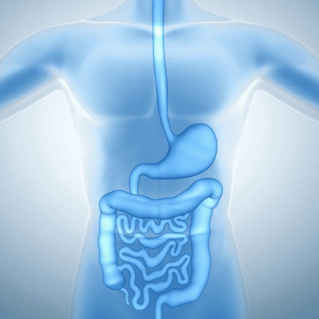 FIXING GUT HEAL CHRONIC DISEASE