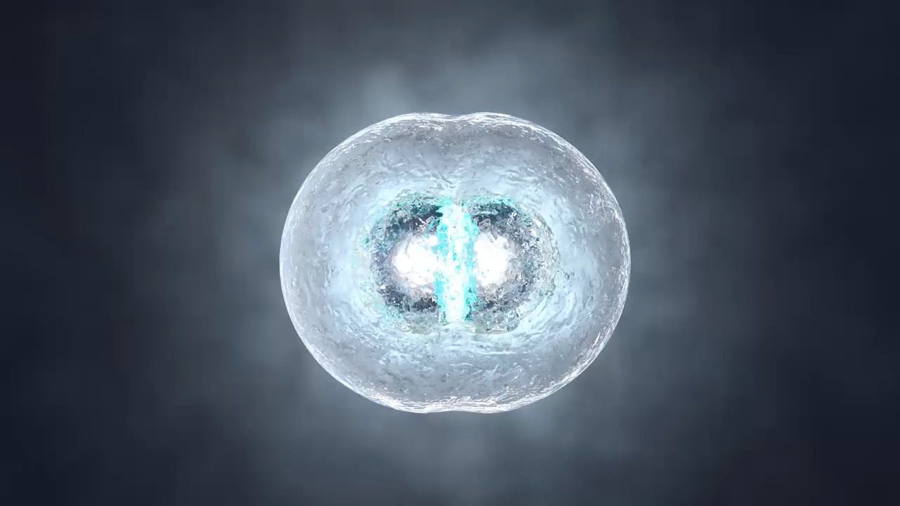 How To Boost The Stem Cell Production - KIYA Longevity