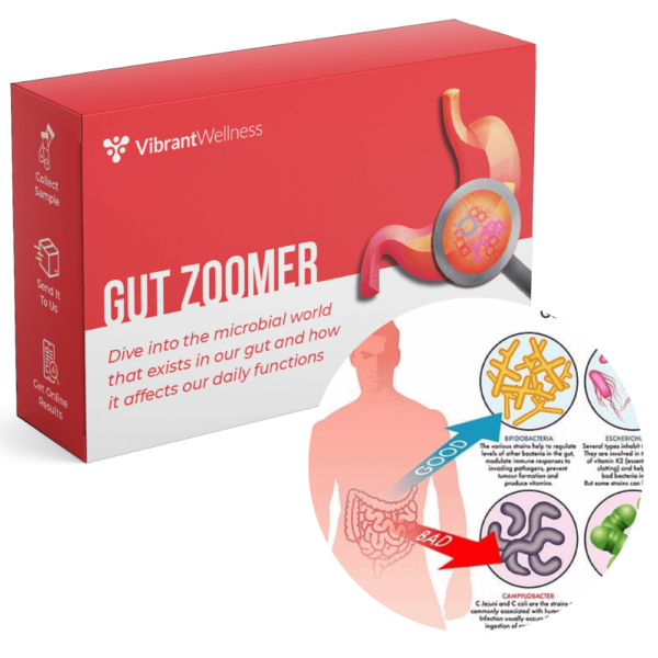 Unlock The Benefits Of The Vibrant Wellness Gut Zoomer Test