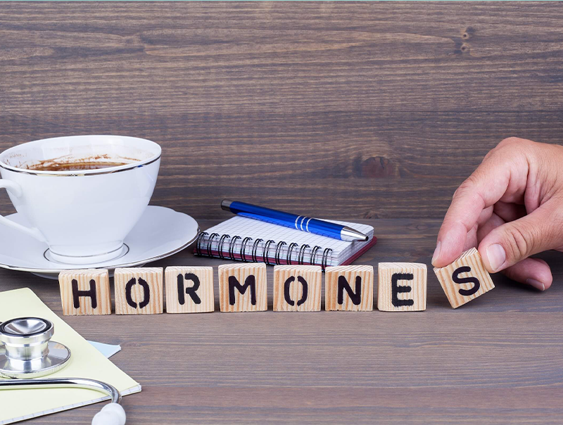 hormones. Wooden letters on dark background. Office desk