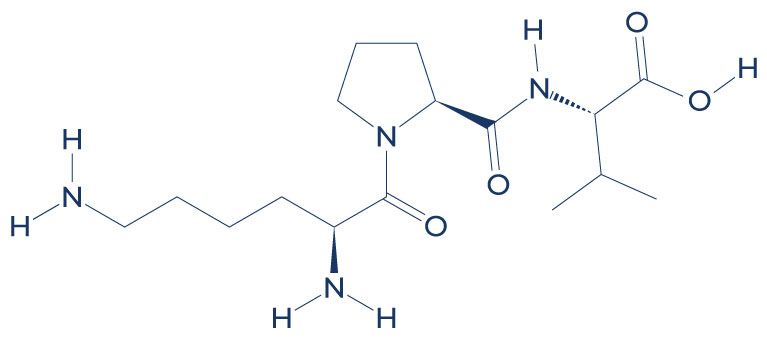 KPV Peptide: The Unsung Hero of Inflammation Control and Gut Health 1 KPV chemical structure